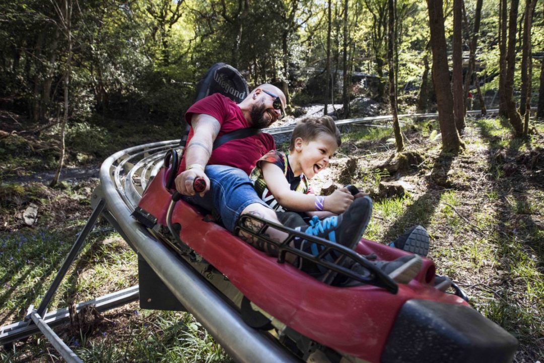 Zip World Fforest, Betws-y-Coed