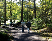 Two people walking along a gravel path through a sunlit woodland, with tall trees casting dappled light and a small group relaxing at a picnic table in the background